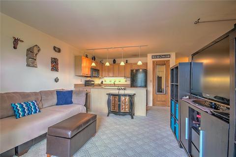 70 Evergreen Rd #303A, Dillon, CO 80435 photo 5