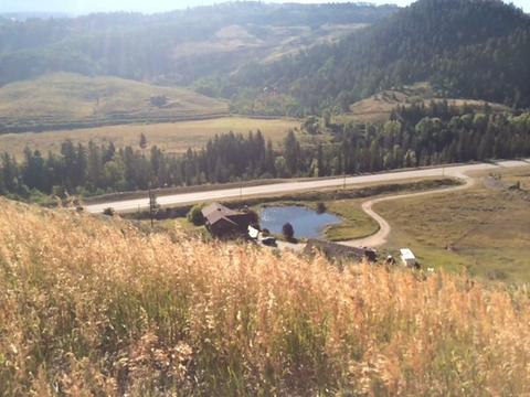 136 Crescent Rd, Silverthorne, CO 80498 photo 9