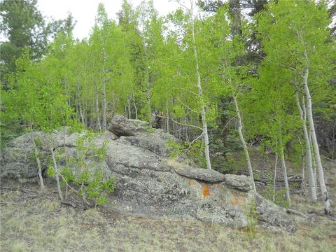 1036 Crooked Rock Path, Como, CO 80432 photo 5