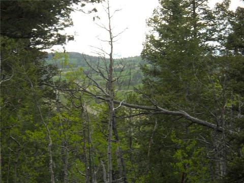 1036 Crooked Rock Path, Como, CO 80432 photo 8