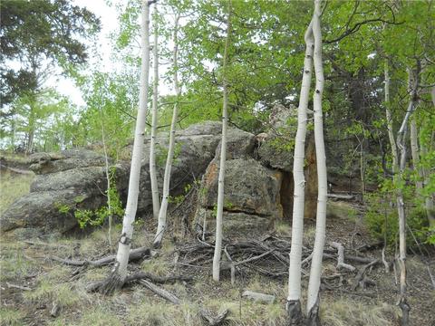 1036 Crooked Rock Path, Como, CO 80432 photo 15