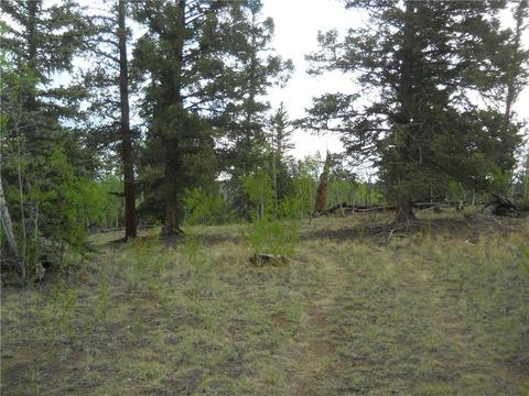 1036 Crooked Rock Path, Como, CO 80432 photo 1