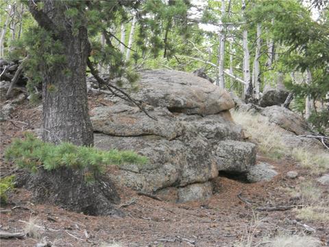 1036 Crooked Rock Path, Como, CO 80432 photo 14