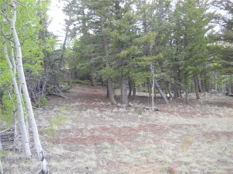 1036 Crooked Rock Path, Como, CO 80432 photo 6