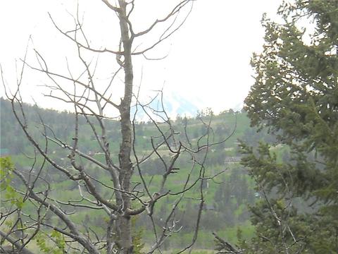 1036 Crooked Rock Path, Como, CO 80432 photo 9