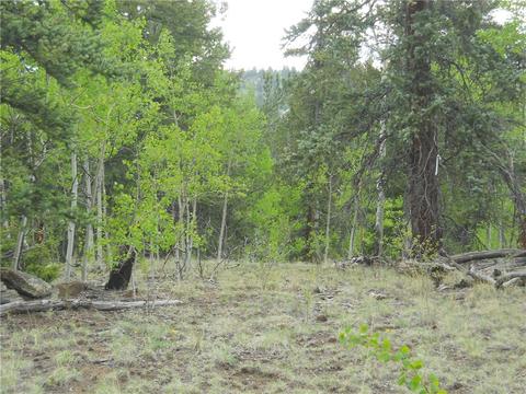 1036 Crooked Rock Path, Como, CO 80432 photo 4