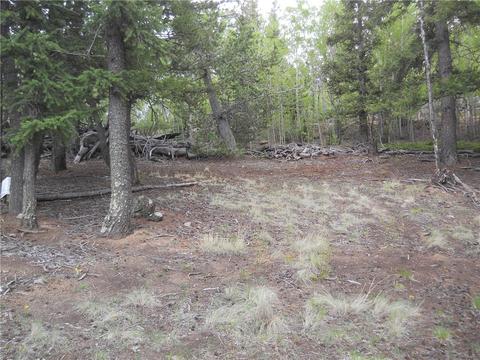 1036 Crooked Rock Path, Como, CO 80432 photo 11