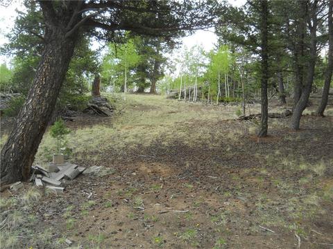 1036 Crooked Rock Path, Como, CO 80432 photo 12