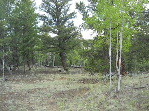 1036 Crooked Rock Path, Como, CO 80432 photo 7