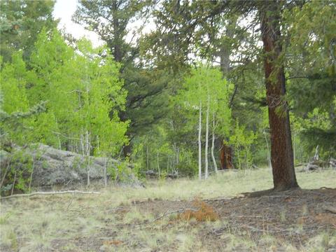 1036 Crooked Rock Path, Como, CO 80432 photo 2