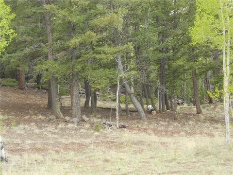 1036 Crooked Rock Path, Como, CO 80432 photo 3