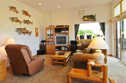 208 Lindstrom Rd, Silverthorne, CO 80498 photo 17
