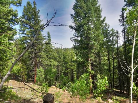 318 Wikiup Cir, Como, CO 80432 photo 4