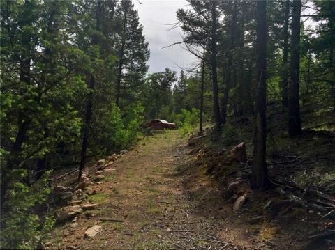 318 Wikiup Cir, Como, CO 80432 photo 7