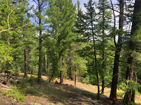 318 Wikiup Cir, Como, CO 80432 photo 3