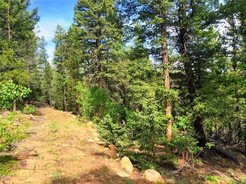 318 Wikiup Cir, Como, CO 80432 photo 2