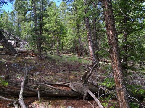 318 Wikiup Cir, Como, CO 80432 photo 5