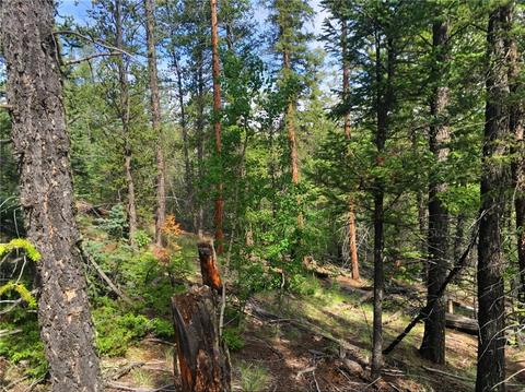 318 Wikiup Cir, Como, CO 80432 photo 6