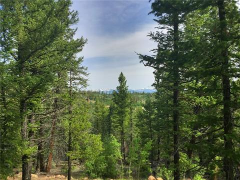 318 Wikiup Cir, Como, CO 80432 photo 1