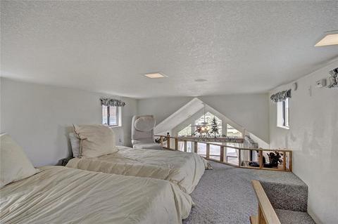 142 Sunshine Loop, Fairplay, CO 80440 photo 13