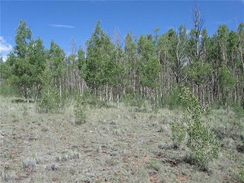 2376 Remington Rd, Como, CO 80432 photo 4