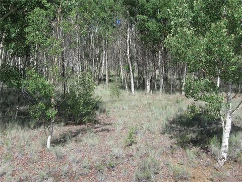 2376 Remington Rd, Como, CO 80432 photo 1