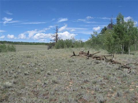 2376 Remington Rd, Como, CO 80432 photo 6