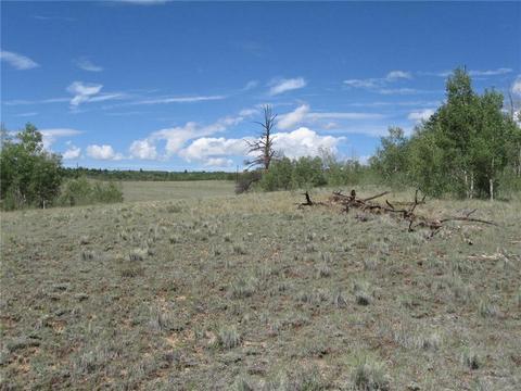 2376 Remington Rd, Como, CO 80432 photo 3