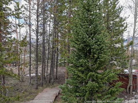 9020 Ryan Gulch Rd, Silverthorne, CO 80498 photo 19