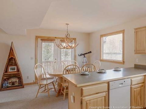 9020 Ryan Gulch Rd, Silverthorne, CO 80498 photo 10