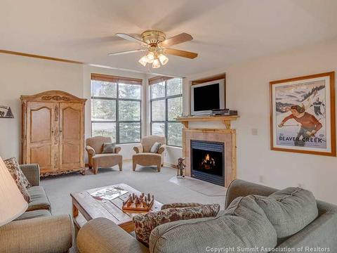 9020 Ryan Gulch Rd, Silverthorne, CO 80498 photo 3