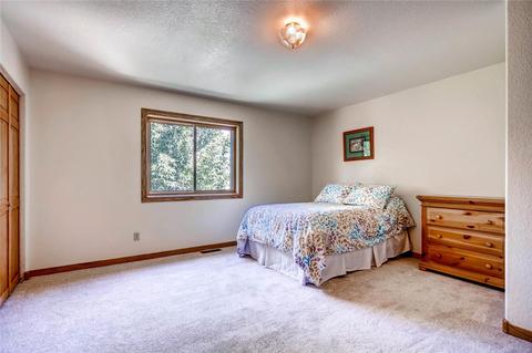 219 Elk View Rd, Silverthorne, CO 80498 photo 13