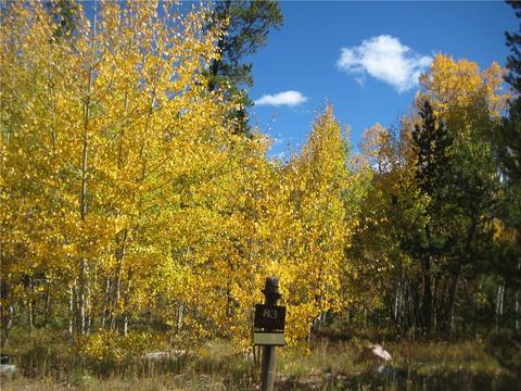 115 Easy Bend Trl, Silverthorne, CO 80498 photo 3