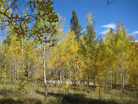 115 Easy Bend Trl, Silverthorne, CO 80498 photo 4