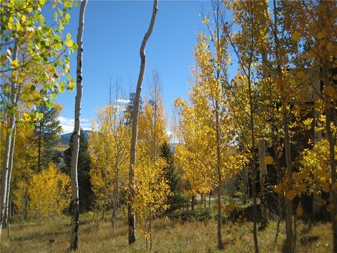 115 Easy Bend Trl, Silverthorne, CO 80498 photo 6