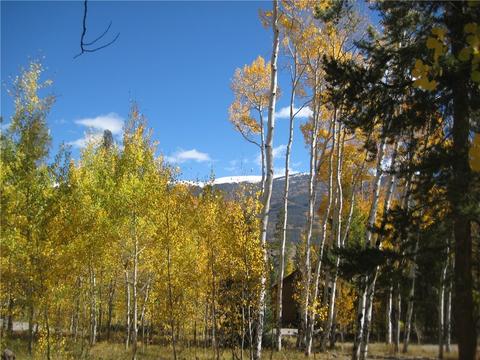 115 Easy Bend Trl, Silverthorne, CO 80498 photo 2