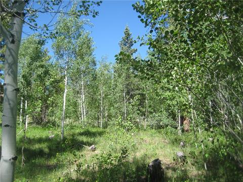 115 Easy Bend Trl, Silverthorne, CO 80498 photo 12