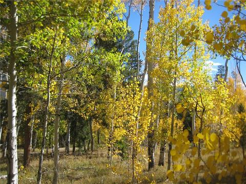 115 Easy Bend Trl, Silverthorne, CO 80498 photo 5