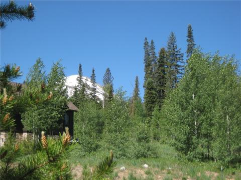 115 Easy Bend Trl, Silverthorne, CO 80498 photo 7
