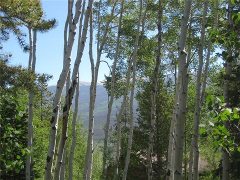 115 Easy Bend Trl, Silverthorne, CO 80498 photo 9