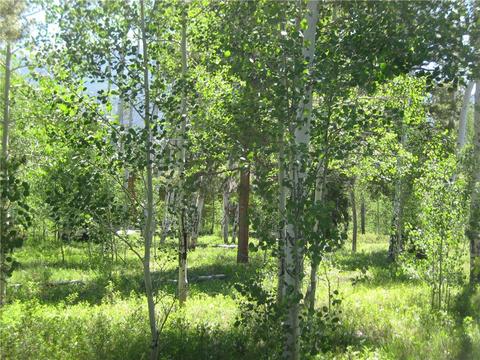 115 Easy Bend Trl, Silverthorne, CO 80498 photo 10