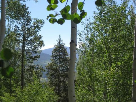 115 Easy Bend Trl, Silverthorne, CO 80498 photo 8