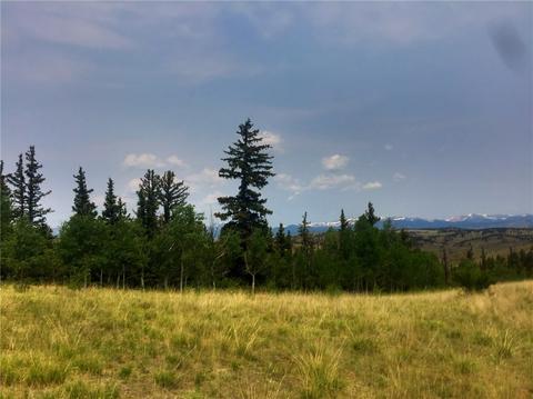 169 Australian Ln, Como, CO 80432 photo 3