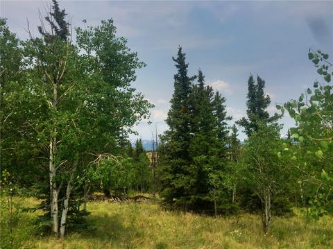 169 Australian Ln, Como, CO 80432 photo 2