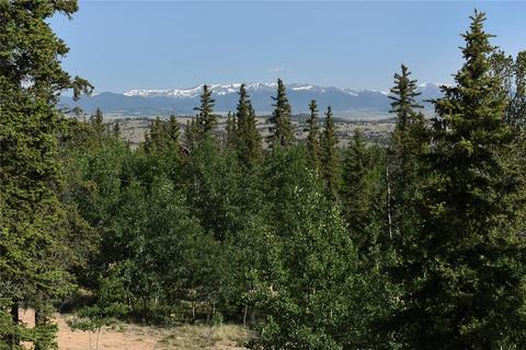 770 Wampum Ln, Como, CO 80432 photo 3