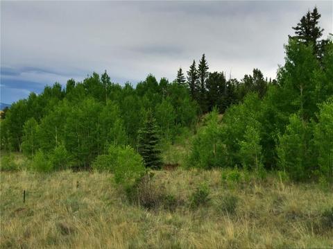 1290 Breton Cir, Como, CO 80432 photo 4