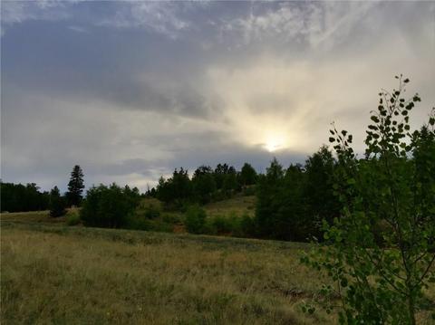1290 Breton Cir, Como, CO 80432 photo 5
