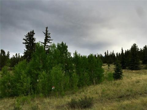 1290 Breton Cir, Como, CO 80432 photo 3