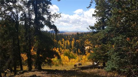 96 Longbow Dr, Como, CO 80432 photo 3