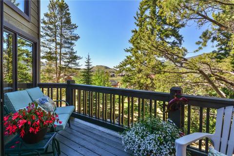 46 Legend Cir, Dillon, CO 80435 photo 22